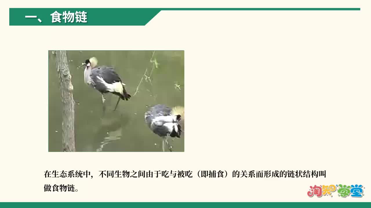 《知识点微课》生物七年级上册（人教版）