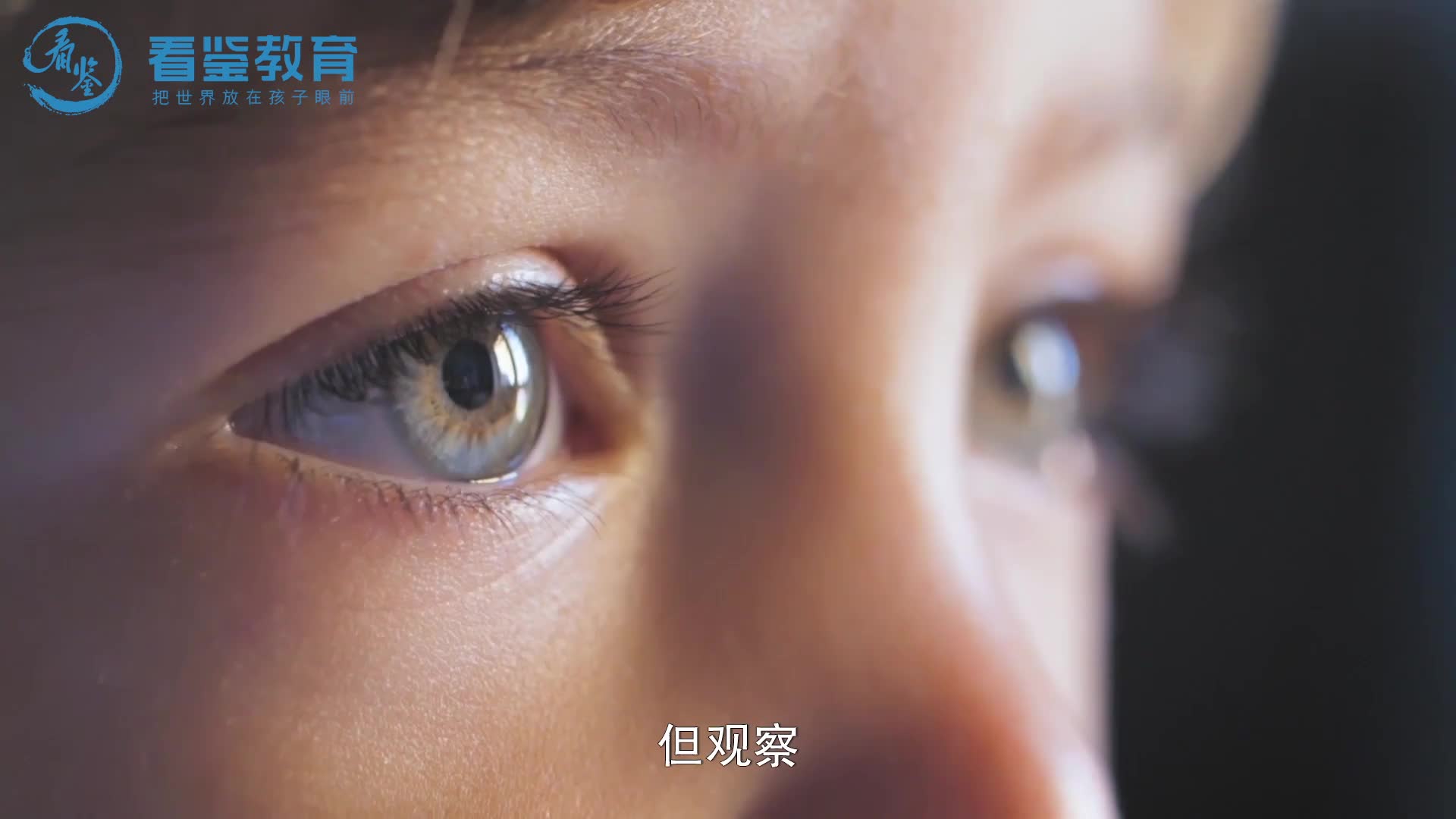 小小观察家