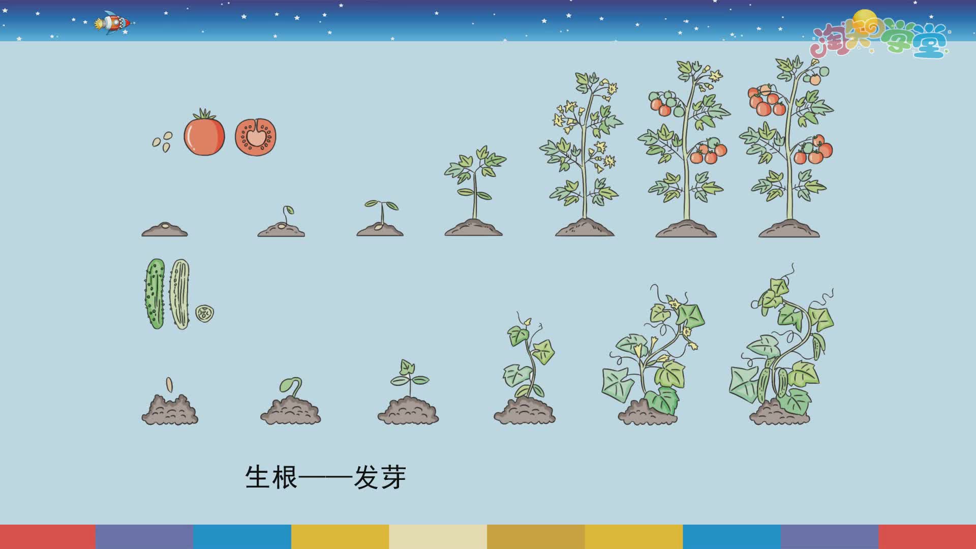 科学微课堂三年级下（苏教版）