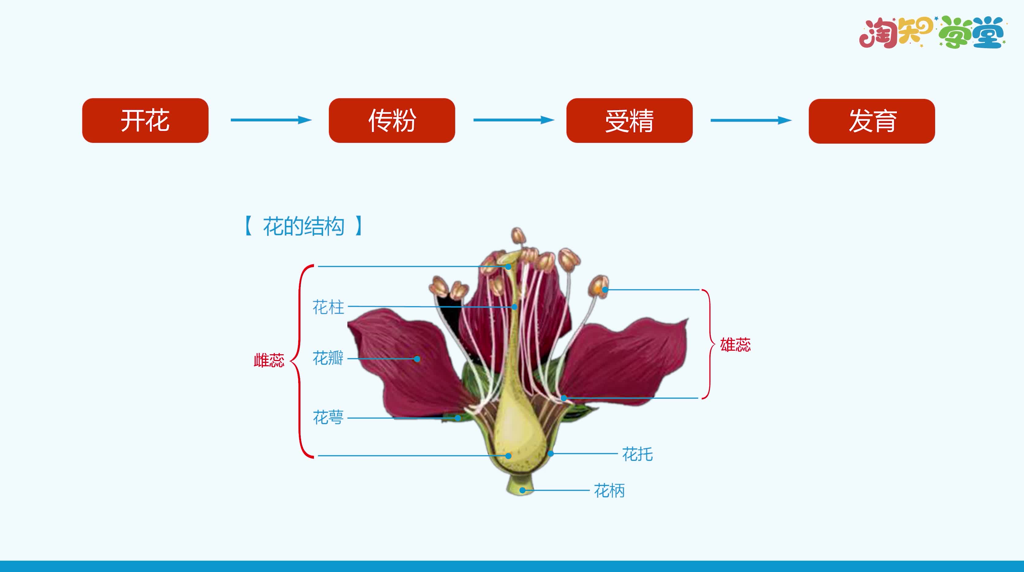 《同步考点精讲》生物八年级下册（人教版）