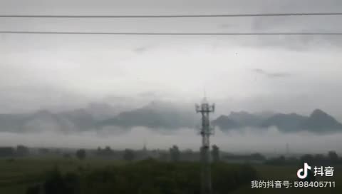 海贼王