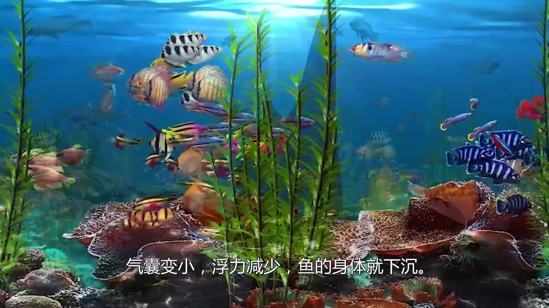 百科中探数学（一年级上）