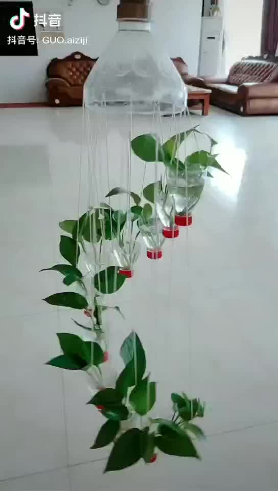 刘亦菲