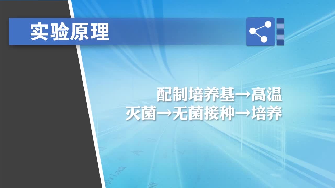 初中生物实验演示