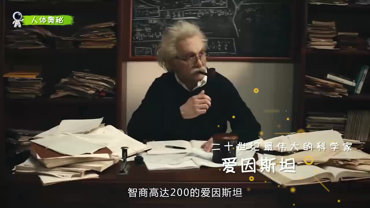 人体奥秘