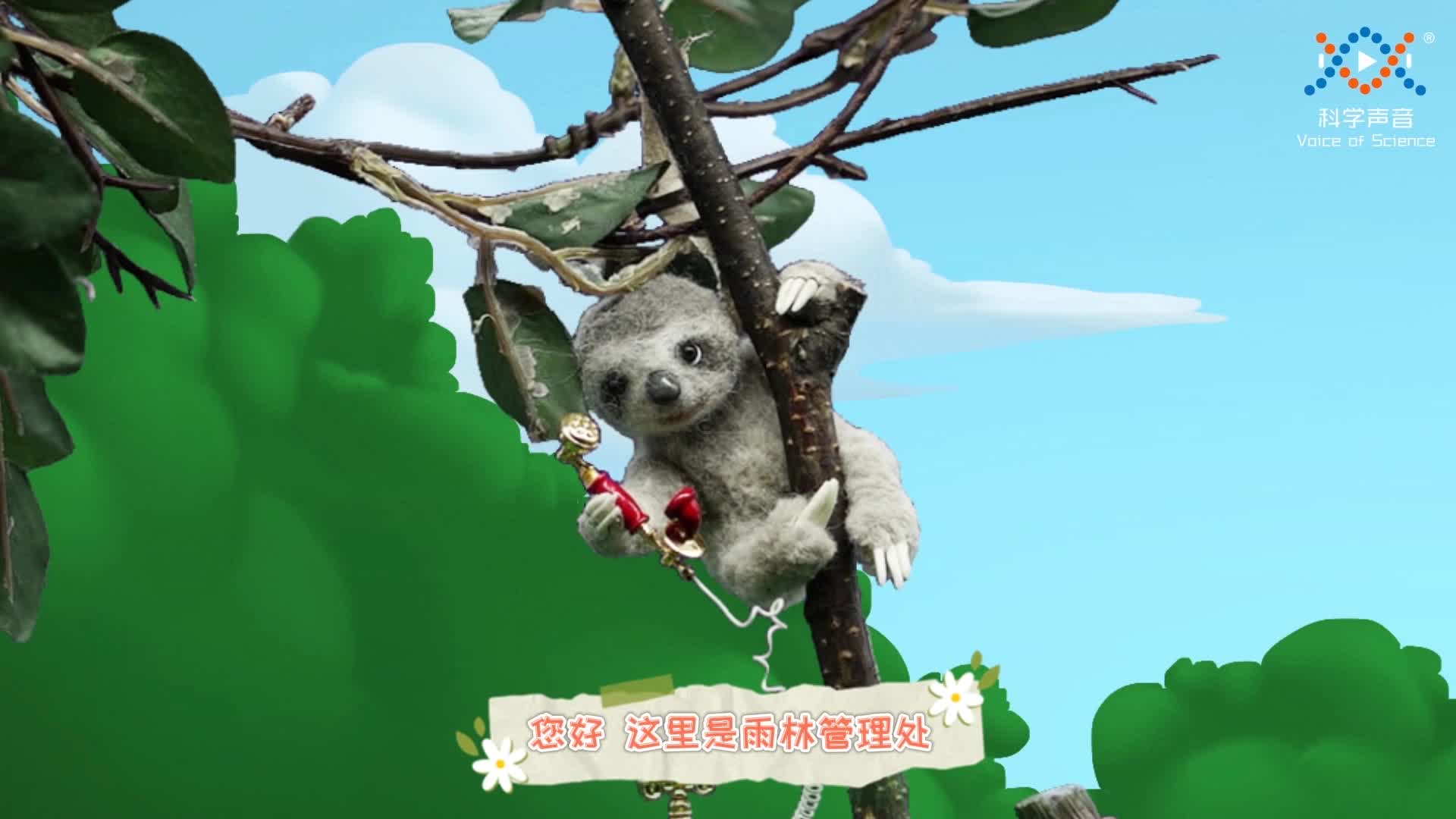 神奇动物