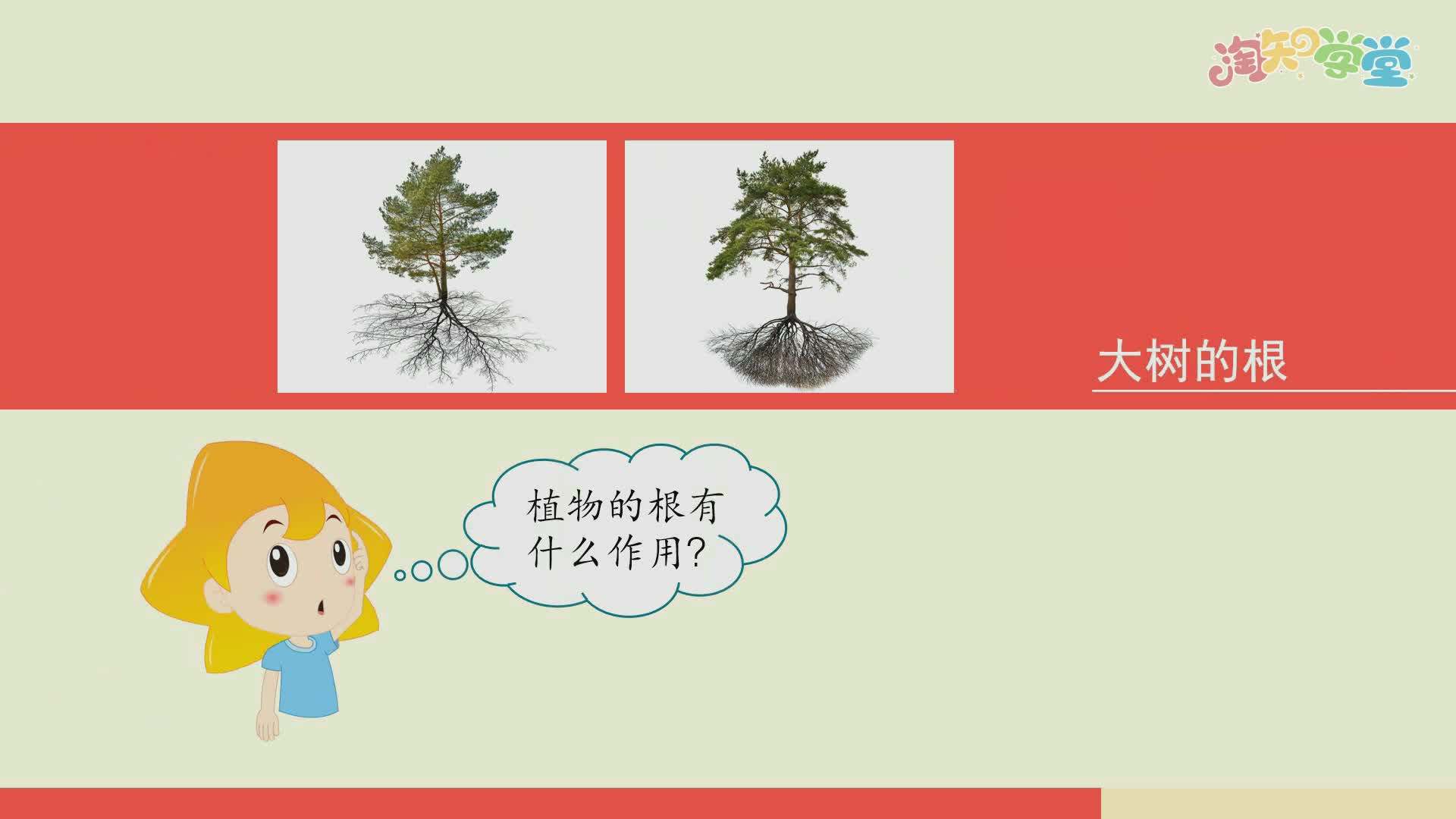 科学微讲堂四年级下（教育科学版）