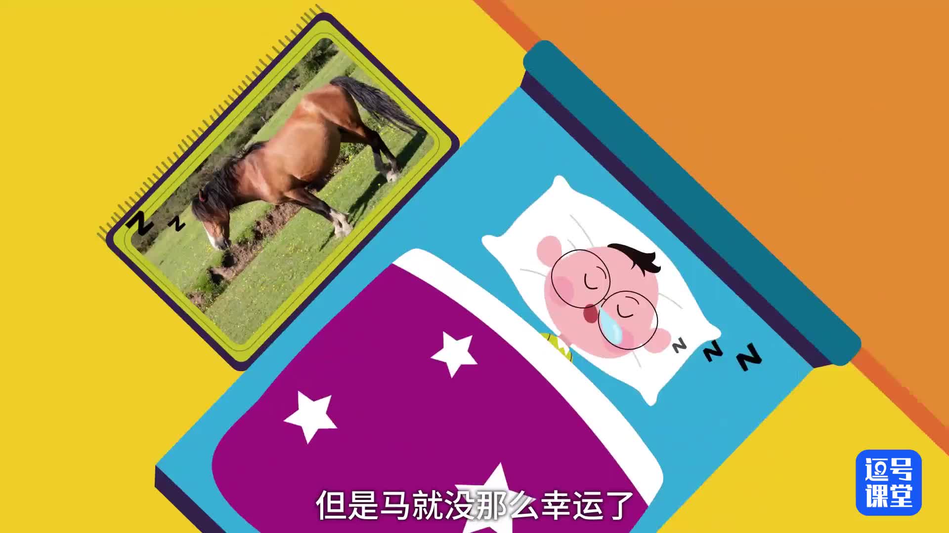 认动物学拼音
