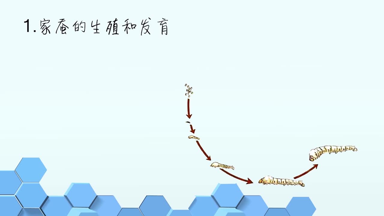 《同步考点精讲》科学七年级下册（浙江教育版）