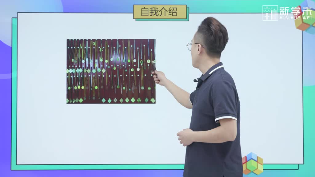 跆拳道入门零基础教学