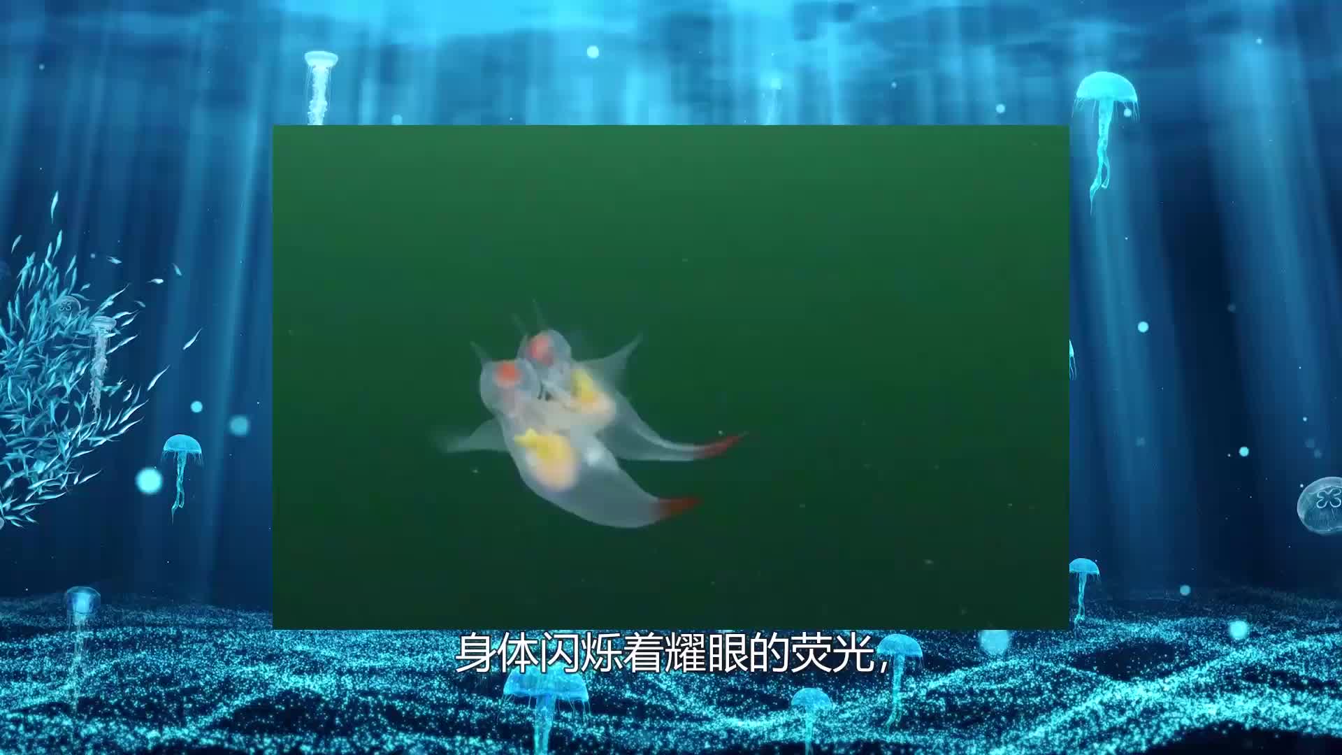 百科中探数学（二年级上）