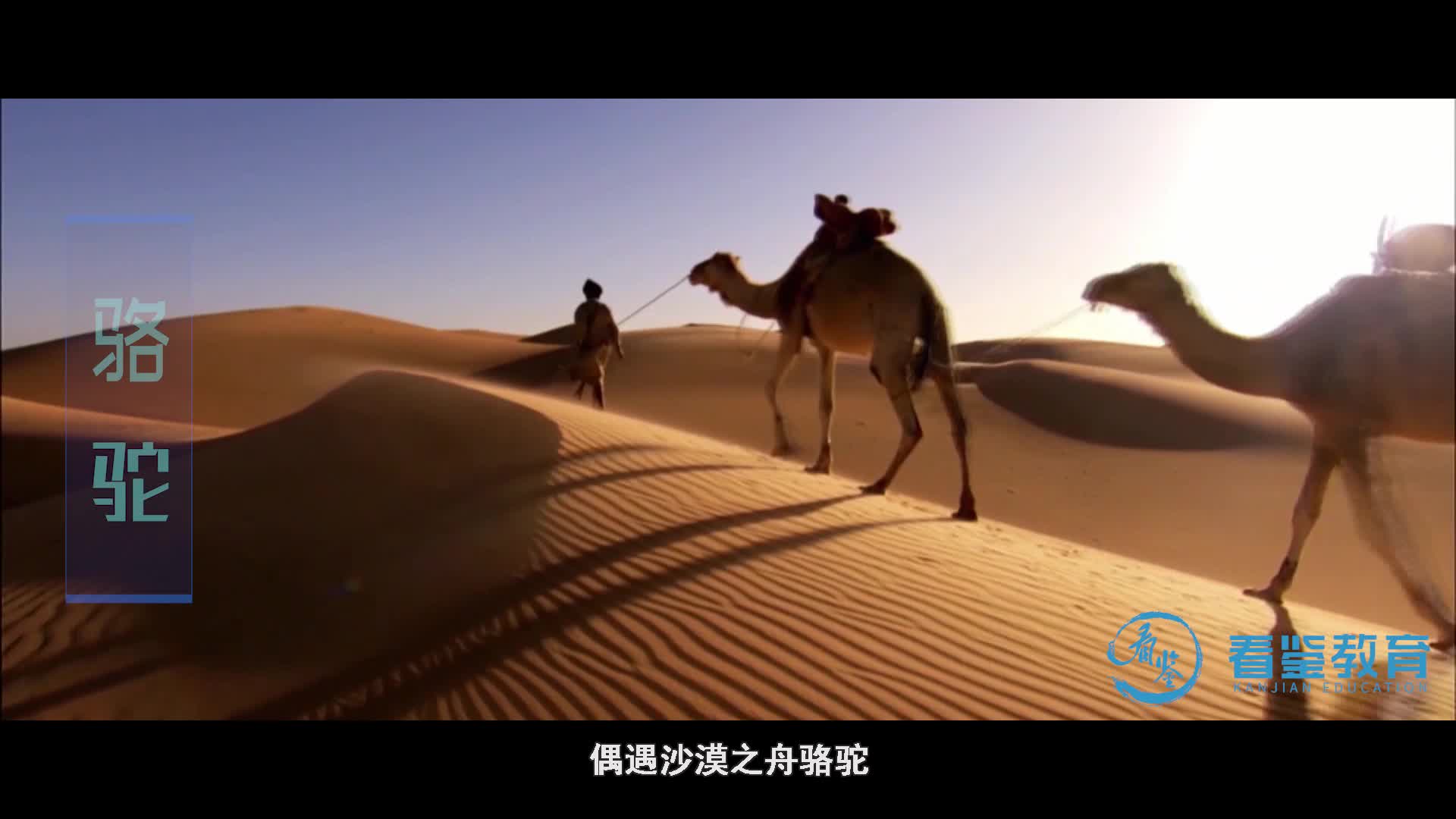 探秘十大生态栖息地