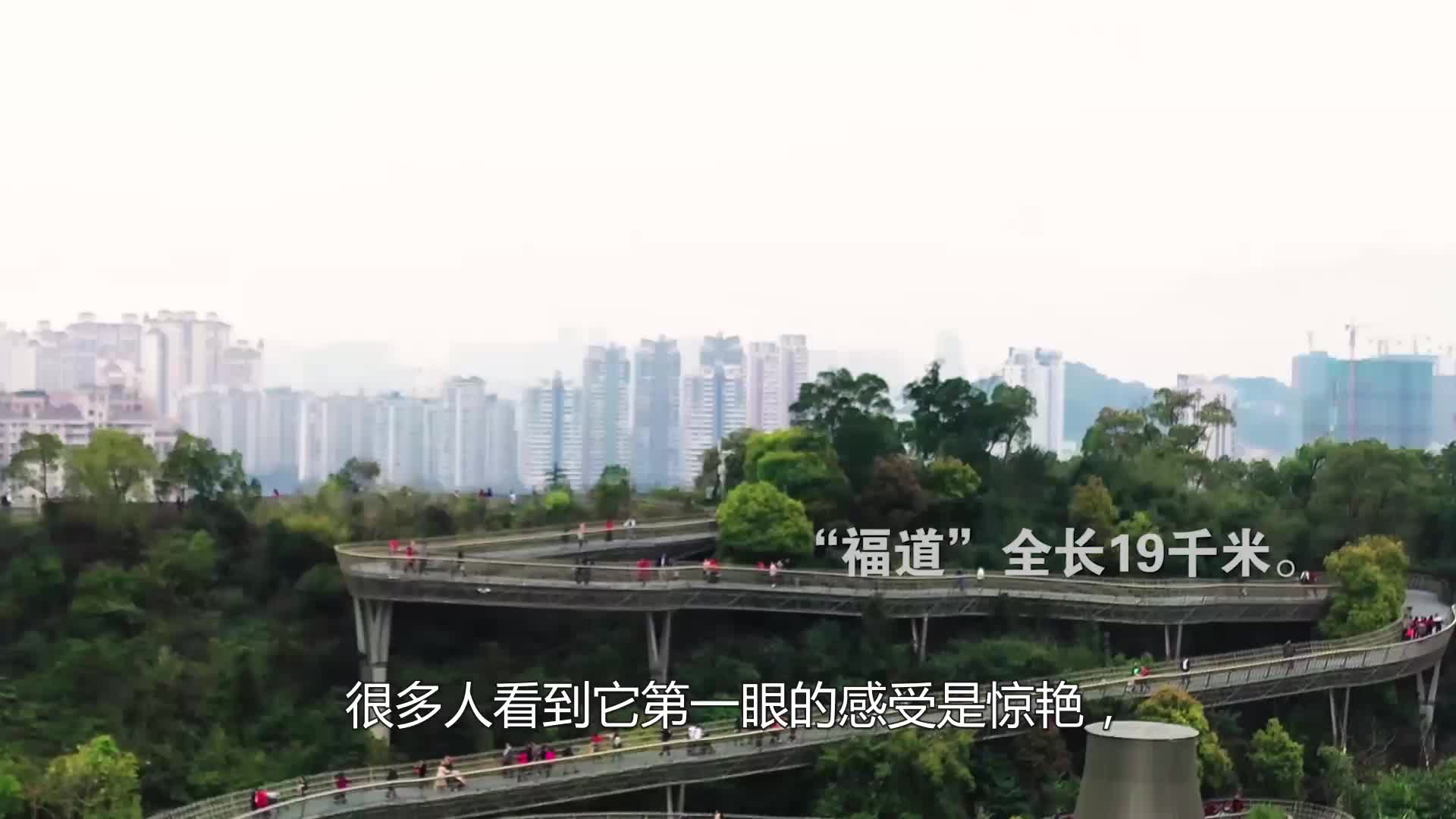 百科中探数学（六年级上）