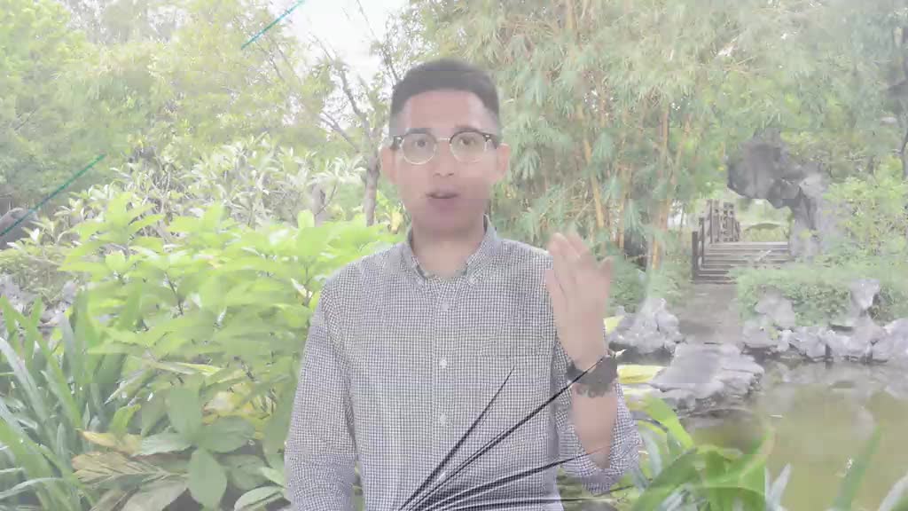 读书分享《苏东坡传》