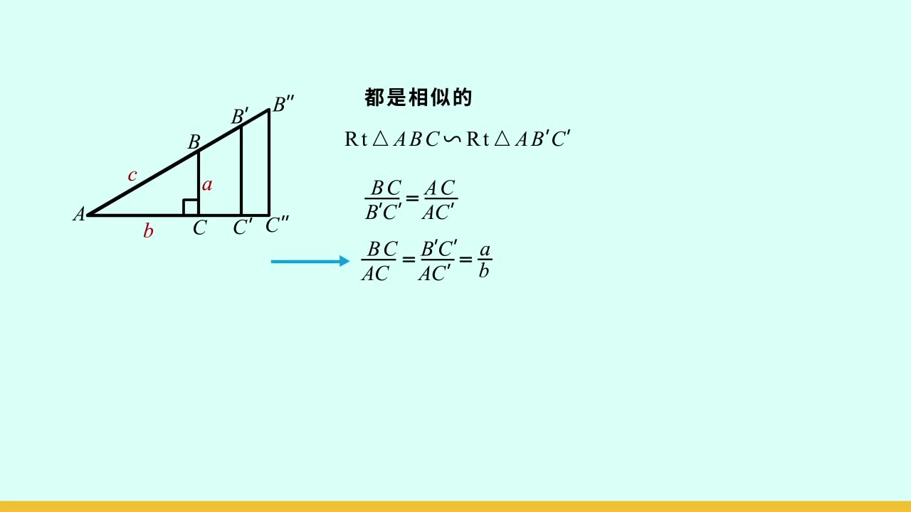 考点概念课-北师大版-数学-九年级下册