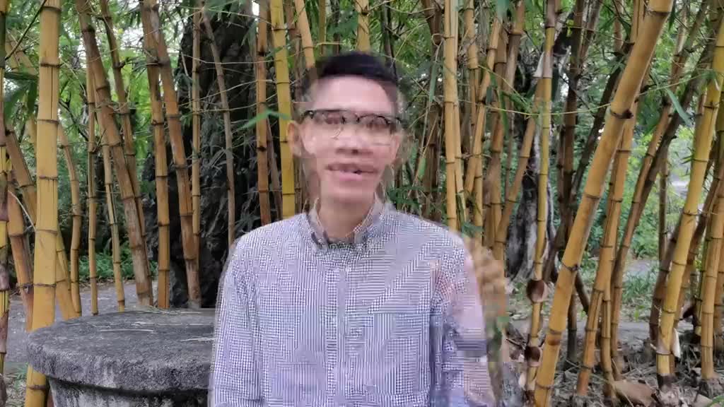 读书分享《文化苦旅》