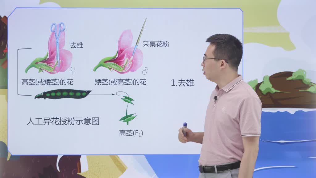 高中生物必修二知识点伴学