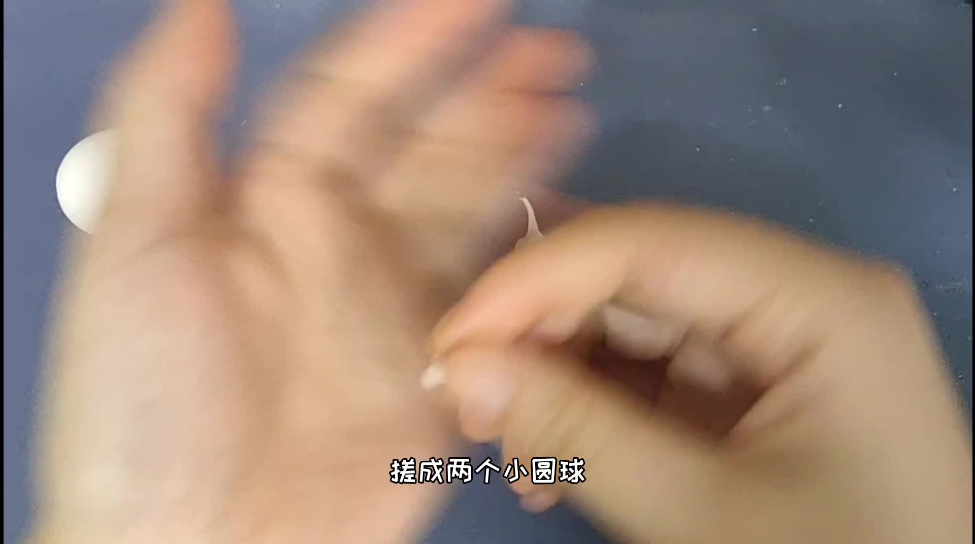 黏土课程——萌物篇
