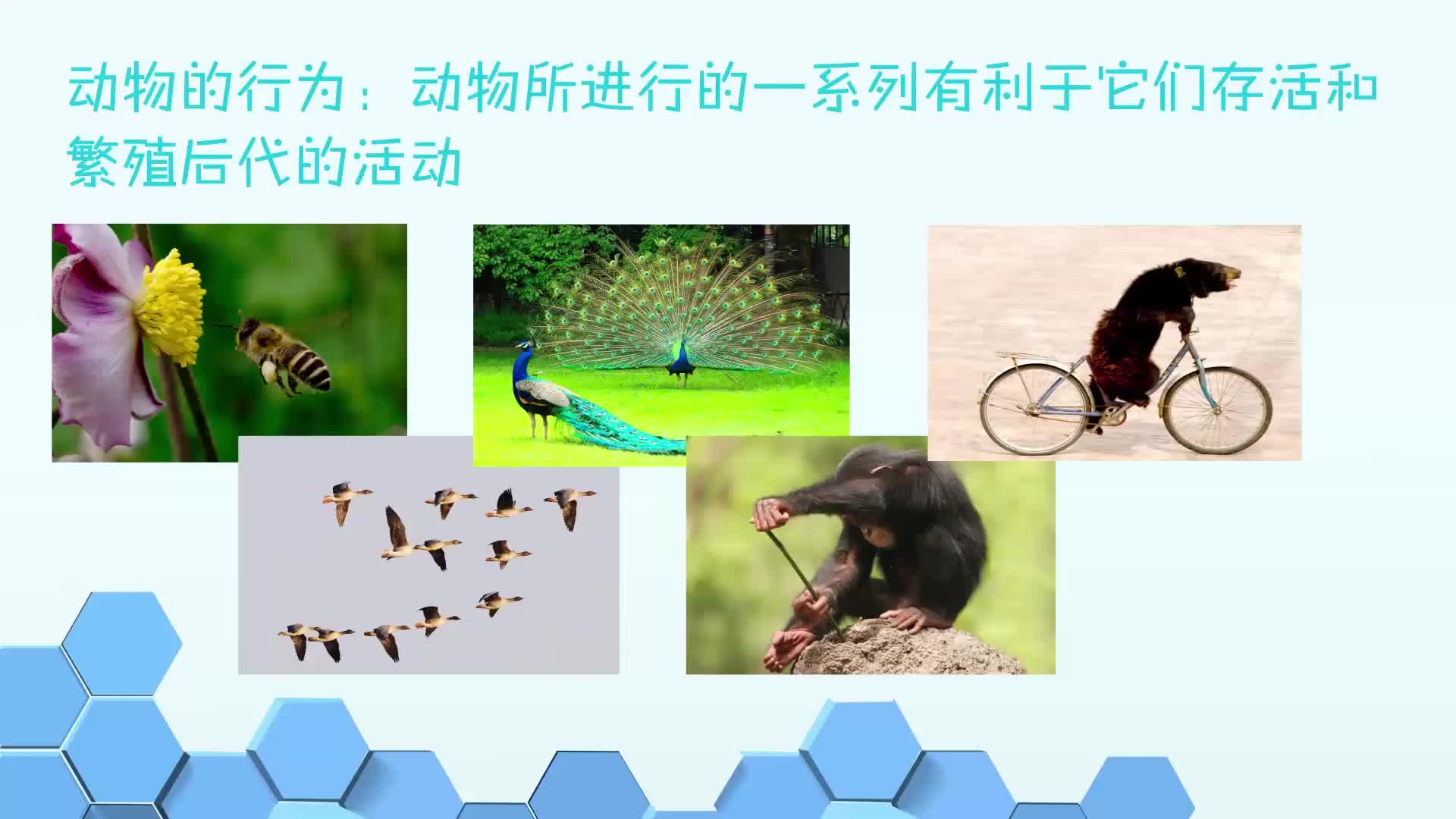 《同步考点精讲》科学八年级上册（浙江教育版）